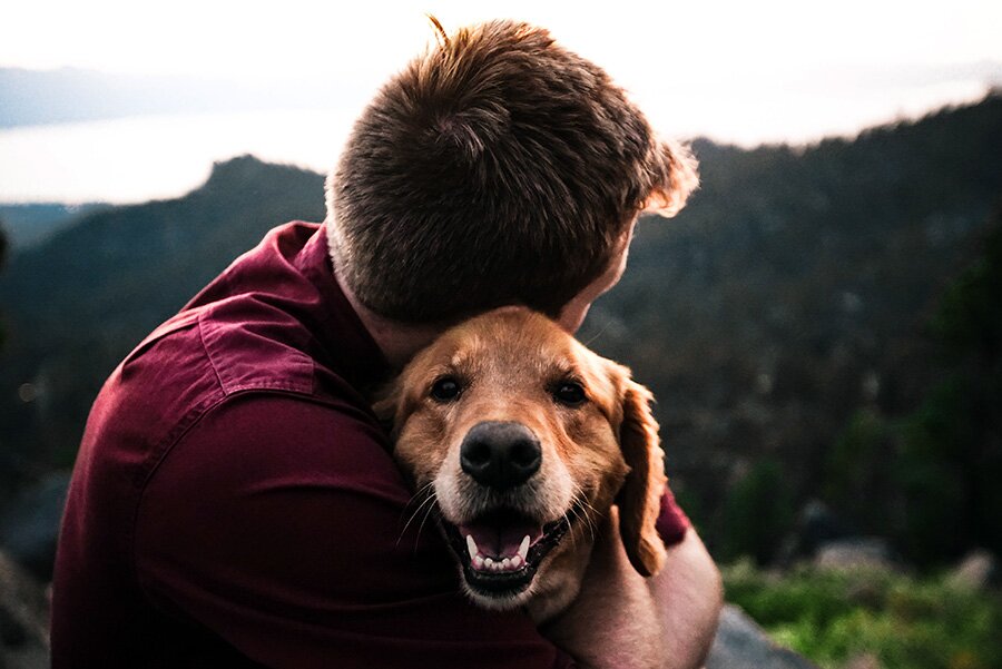 Pets as Allies in Grief