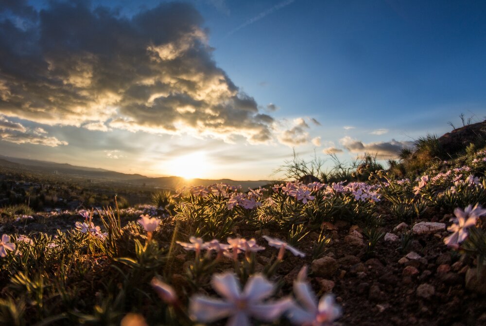 Finding Your Place After Losing a Loved One