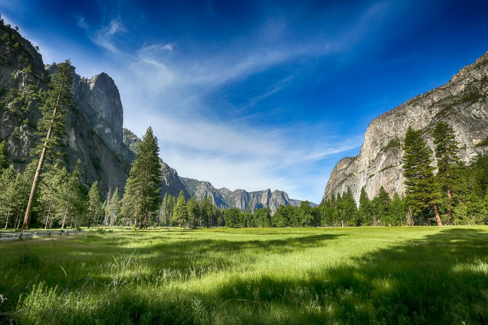 Scattering Ashes in a National Park